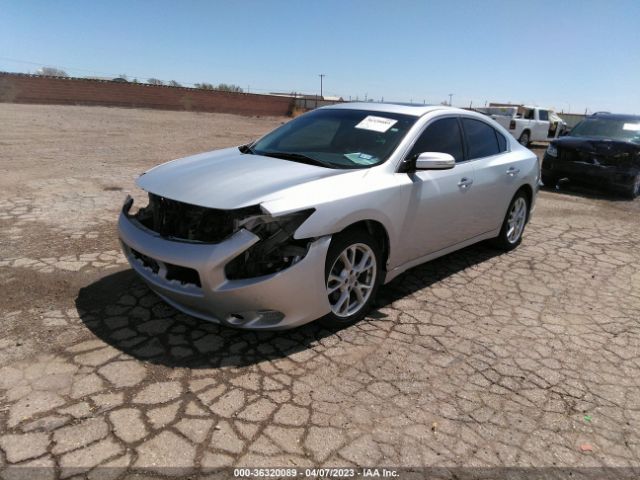 1N4AA5AP7EC447849 Nissan Maxima 3.5 Sv