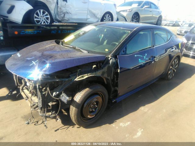 1N4AA6AP7HC421570 Nissan Maxima Sr