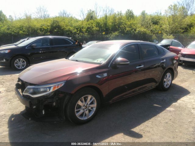 5XXGT4L33GG102436 KIA Optima Lx