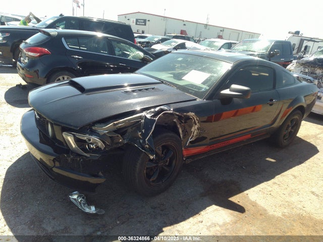 2006 FORD MUSTANG STANDARD/DELUXE/PREMIUM VIN: 1ZVFT80N665177396