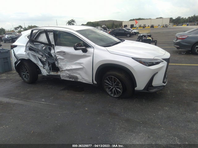 2023 Lexus NX, VIN: JTJADCAZ5P5010573