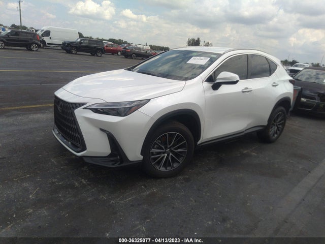 2023 Lexus NX, VIN: JTJADCAZ5P5010573