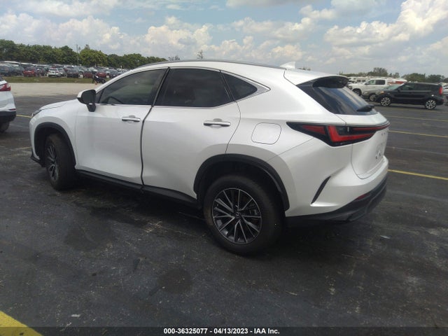 2023 Lexus NX, VIN: JTJADCAZ5P5010573