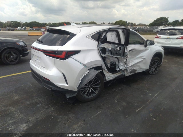 2023 Lexus NX, VIN: JTJADCAZ5P5010573