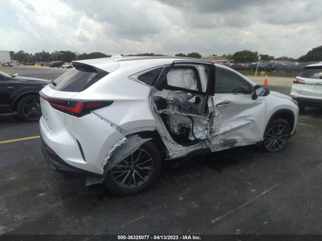 2023 Lexus NX, VIN: JTJADCAZ5P5010573