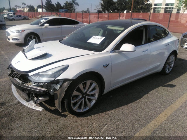 Tesla Model 3 Range 2019 5YJ3E1EA2KF311746 Image 2