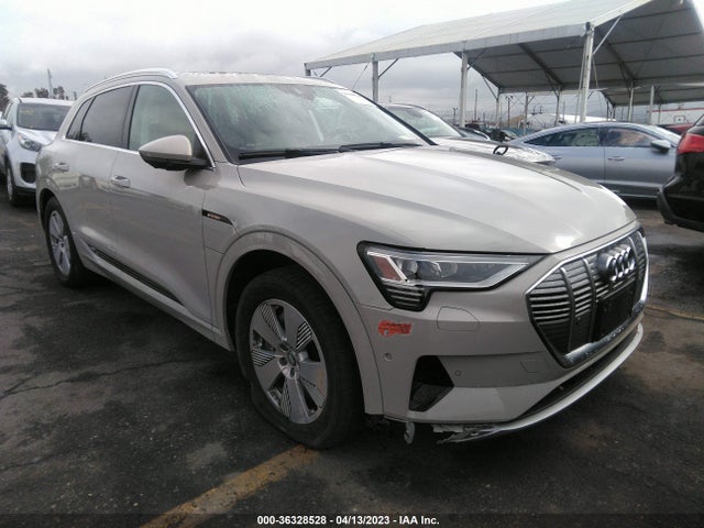 2019 Audi e-tron, VIN: WA1VAAGE1KB014694