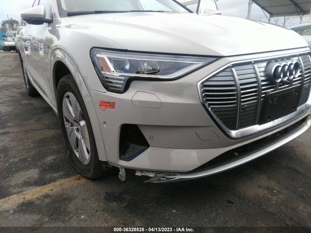 2019 Audi e-tron, VIN: WA1VAAGE1KB014694