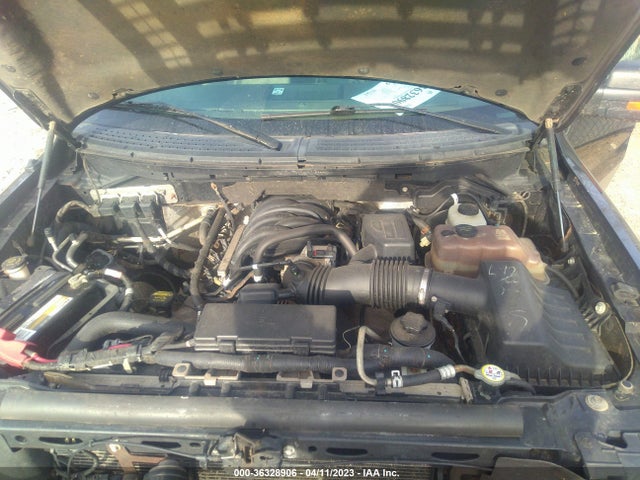 2010 FORD F-150 XL/XLT VIN: 1FTFW1E84AFB42072