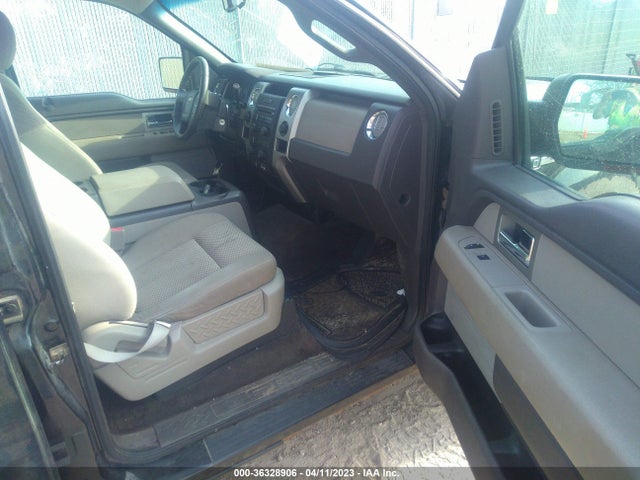 2010 FORD F-150 XL/XLT VIN: 1FTFW1E84AFB42072