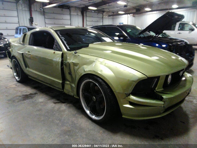 2006 FORD MUSTANG GT VIN: 1ZVFT82H565106956