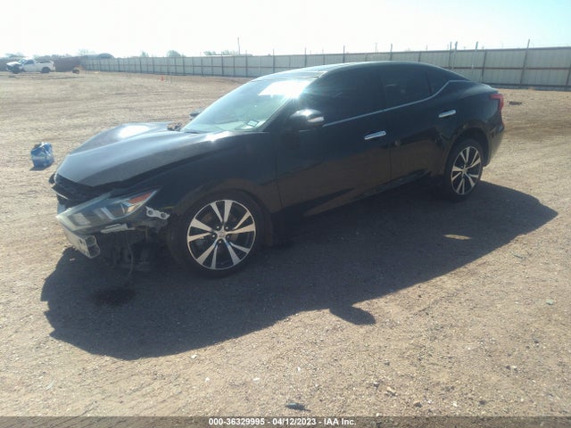 Nissan Maxima 3.5 Platinum 2016 1N4AA6AP4GC418074 Image 2