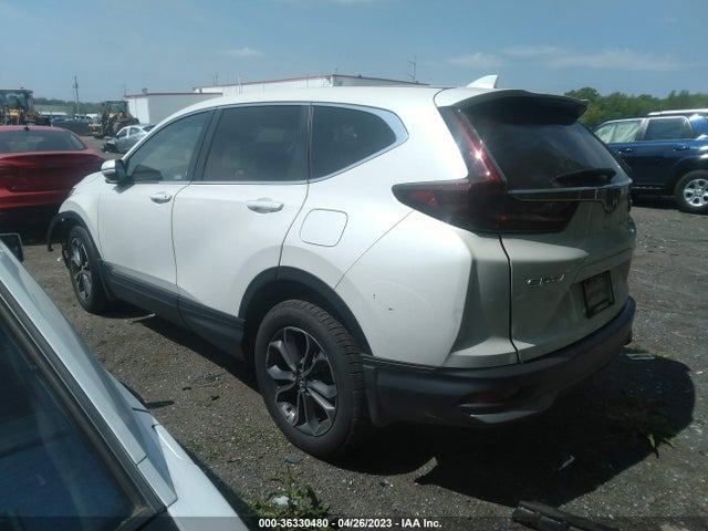 Honda CR-V EX 2020 5J6RW2H5XLA018239 Image 3