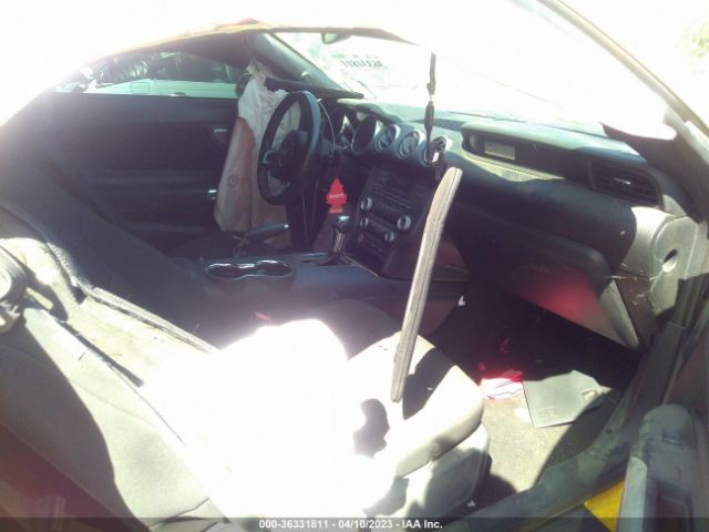 1FA6P8AM0F5343768 Ford Mustang V6