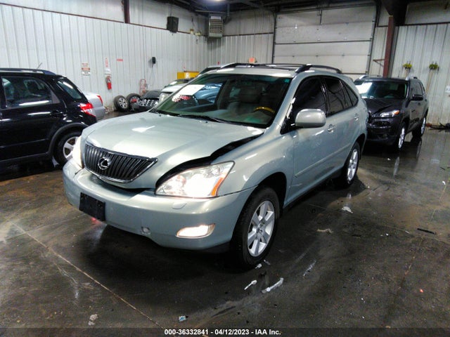 2004 LEXUS RX 330 VIN: JTJHA31U240061176