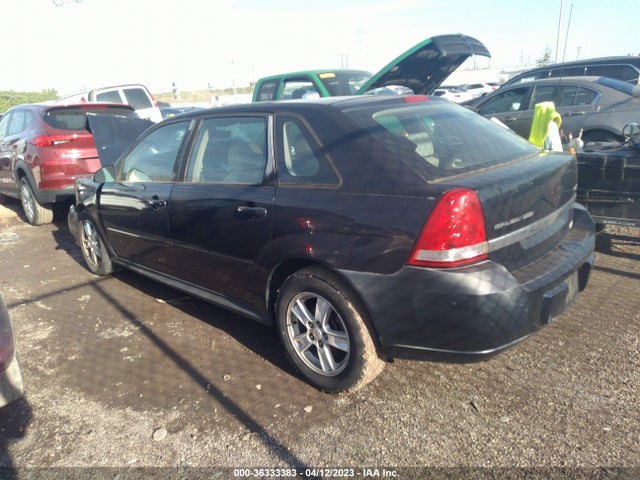 2004 CHEVROLET MALIBU MAXX LS VIN: 1G1ZT64874F143203
