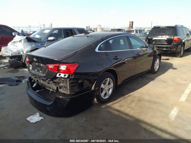 Chevrolet MALIBU LS 2023 1G1ZC5ST7PF123779 Image 6