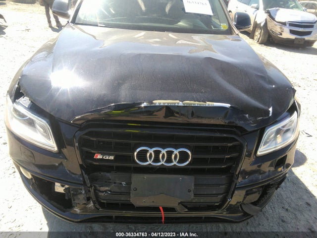 Audi Sq5 Premium Plus 2016 WA1CCAFP9GA039389 Image 6