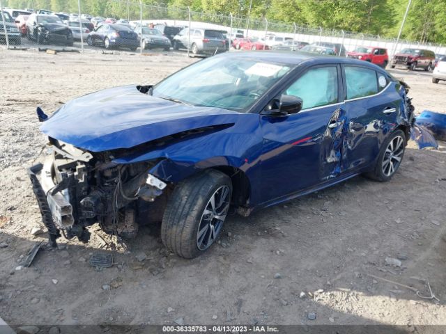 1N4AA6AP7GC399309 Nissan Maxima 3.5 S