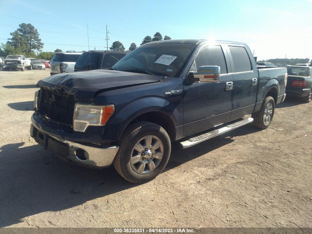 2011 FORD F-150 XL/XLT VIN: 1FTEW1CM3BFD26500