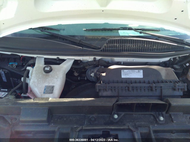 2021 CHEVROLET EXPRESS CARGO VAN VIN: 1GCZGGFP7M1284078