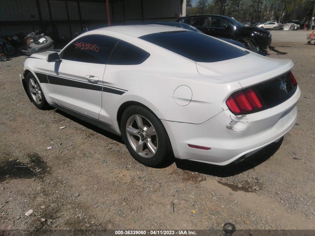 2015 Ford Fastback, VIN: 1FA6P8AMXF5378172