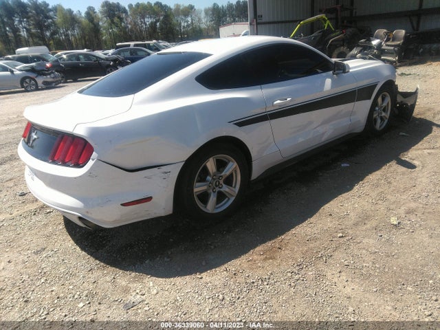 2015 Ford Fastback, VIN: 1FA6P8AMXF5378172