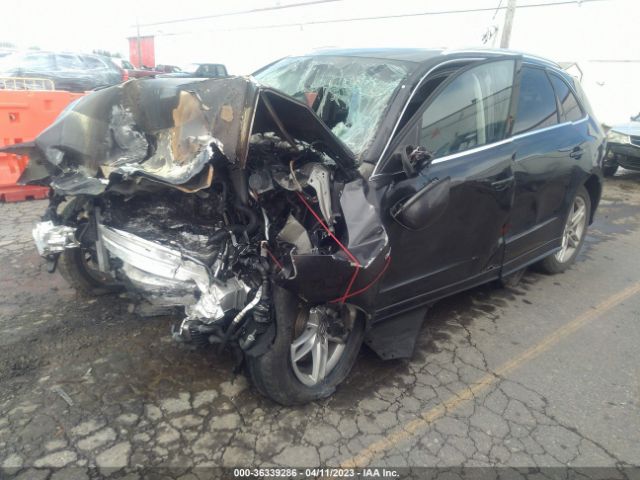 WA1DGAFP2EA033195 Audi Q5 Premium Plus