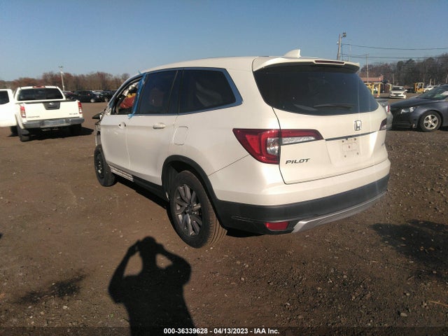 Honda Pilot Ex-l 2019 5FNYF6H52KB077526 Image 3
