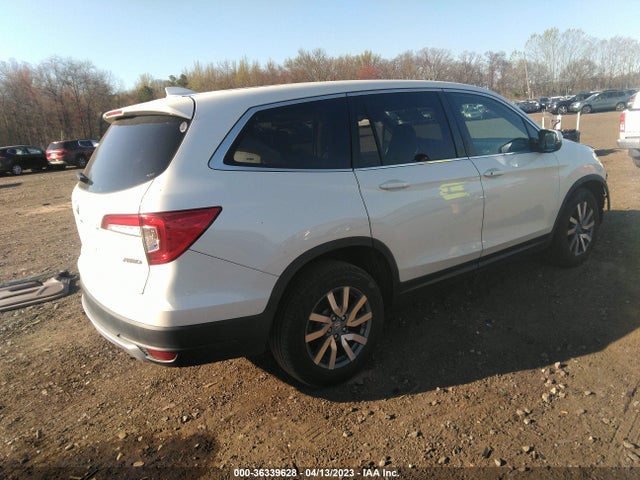 Honda Pilot Ex-l 2019 5FNYF6H52KB077526 Image 4