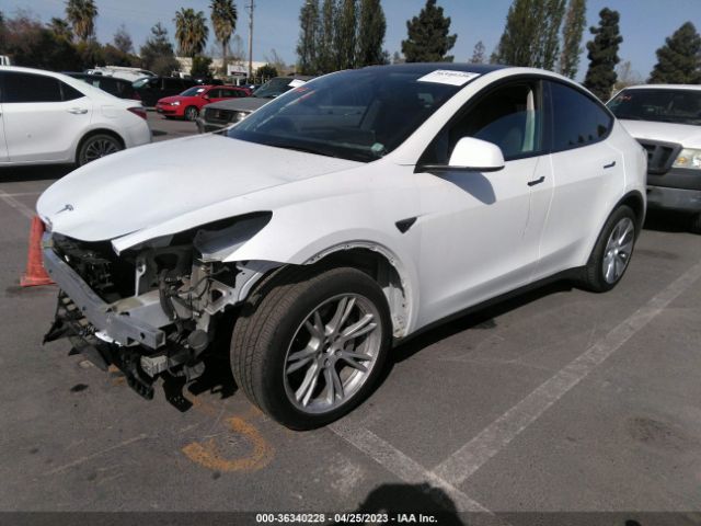 5YJYGDEE9MF273732 Tesla Model Y Long Range