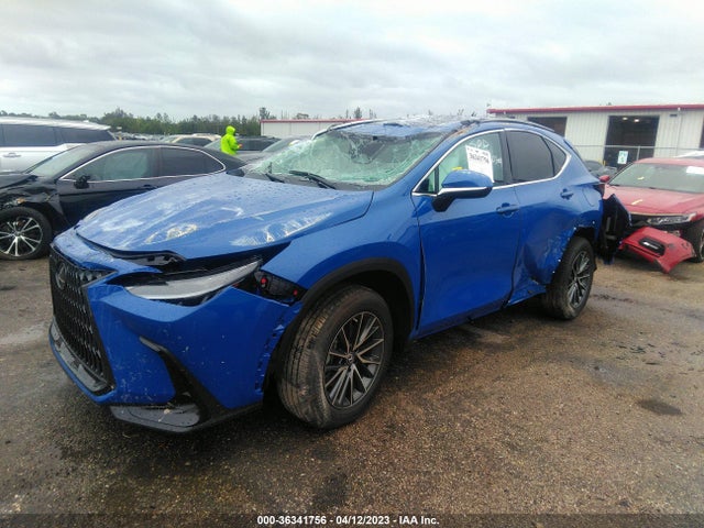 2023 Lexus NX, VIN: 2T2GDCAZ7PC003281