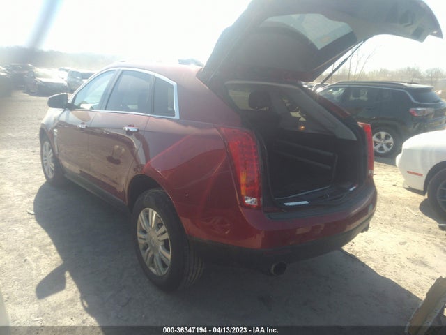 2011 CADILLAC SRX LUXURY COLLECTION VIN: 3GYFNDEY8BS599415