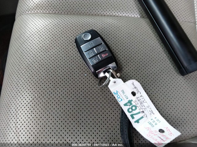 2019 Kia Sedona, VIN: KNDMB5C11K6503159