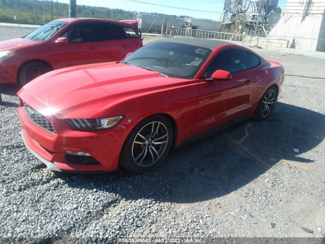 2015 Ford Mustang, VIN: 1FA6P8TH5F5423213