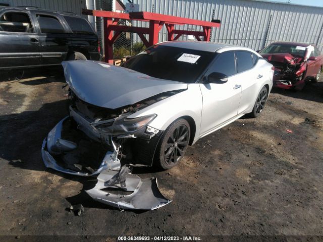 1N4AA6AP7HC397125 Nissan Maxima Sr