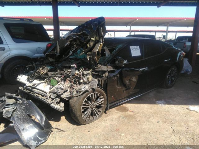 1N4AA6AP2HC389255 Nissan MAXIMA SV