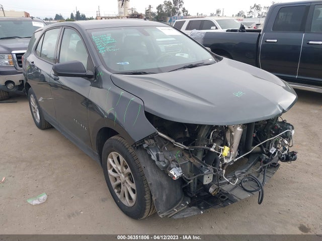 Chevrolet EQUINOX LS 2019 3GNAXHEV9KS614776 Image 1