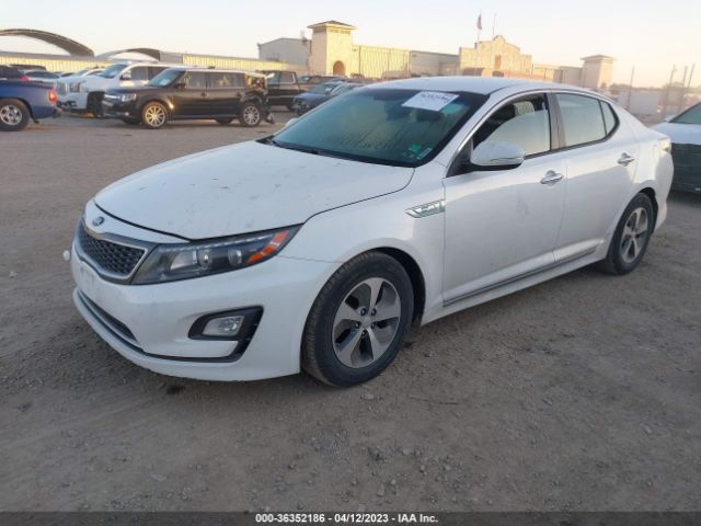 KNAGM4AD9F5078667 KIA OPTIMA HYBRID