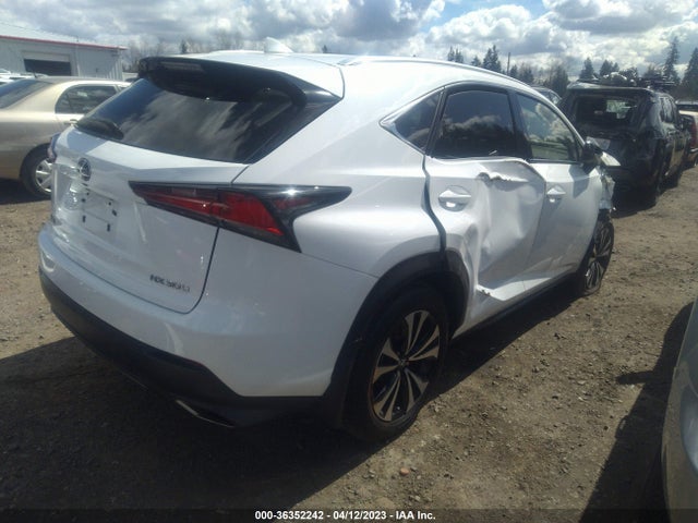 2019 Lexus NX, VIN: JTJBARBZ0K2206011