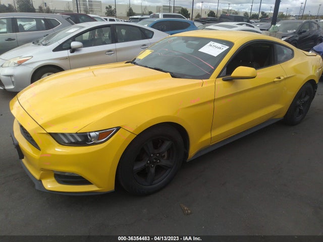 2015 Ford Fastback, VIN: 1FA6P8AM7F5391977