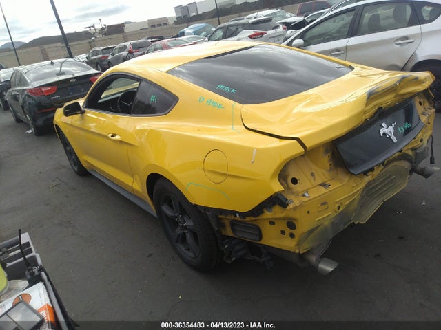 2015 Ford Fastback, VIN: 1FA6P8AM7F5391977