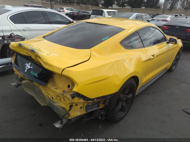 2015 Ford Fastback, VIN: 1FA6P8AM7F5391977