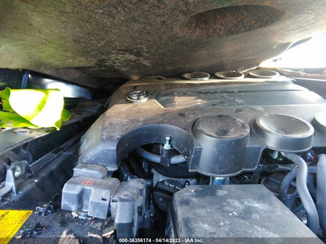 Toyota 4RUNNER SR5 2020 JTEBU5JR0L5767339 Image 11