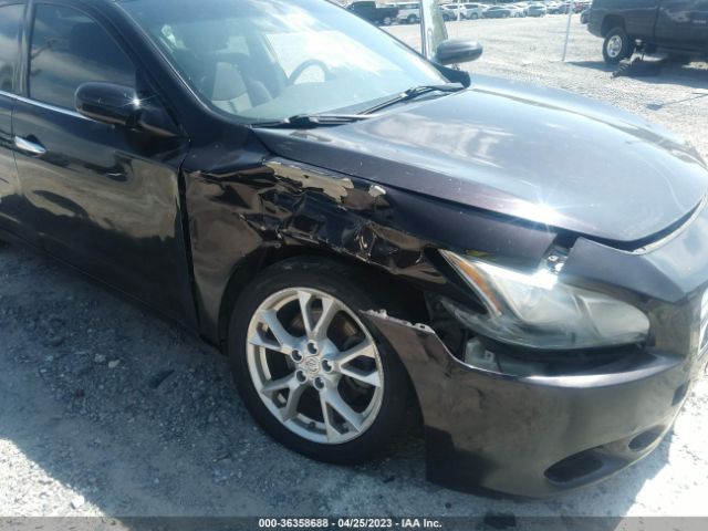 1N4AA5AP3EC445659 Nissan Maxima 3.5 S