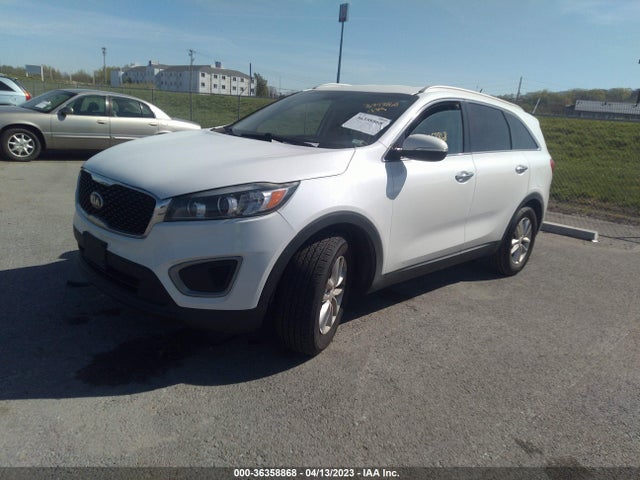 KIA Sorento 3.3l Lx 2016 5XYPG4A51GG178077 Image 2