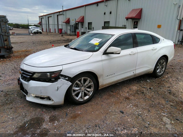 Chevrolet IMPALA LT 2019 2G11Z5S37K9110477 Image 2