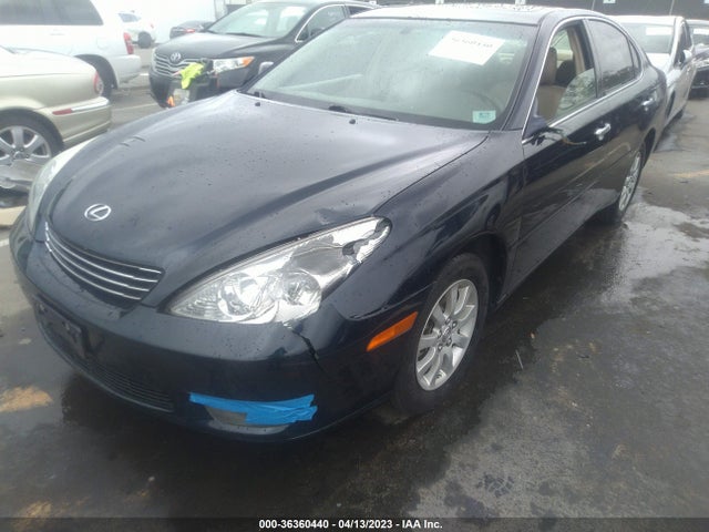 2004 LEXUS ES 330 VIN: JTHBA30GX45021479