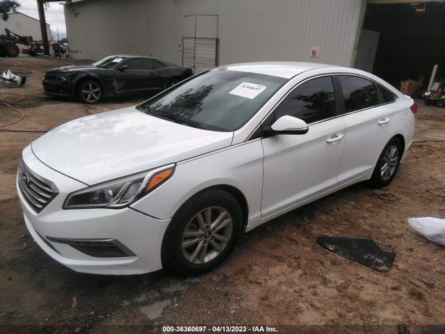 Hyundai SONATA ECO 2015 5NPE24AA6FH162001 Image 13