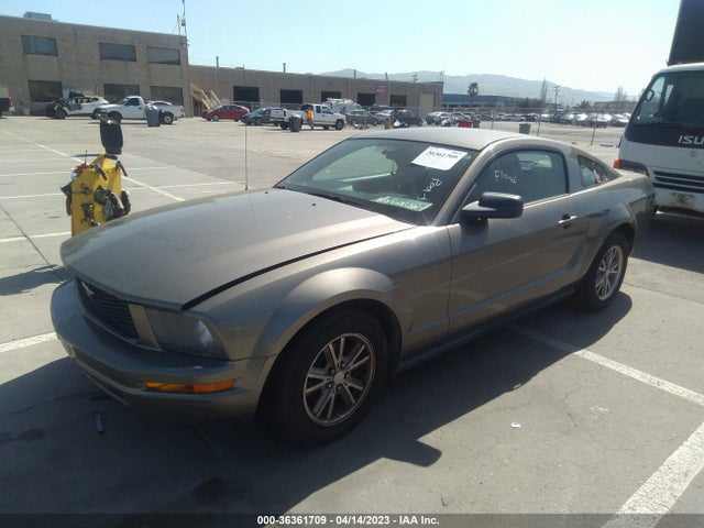 2005 FORD MUSTANG DELUXE/PREMIUM VIN: 1ZVFT80N555238882